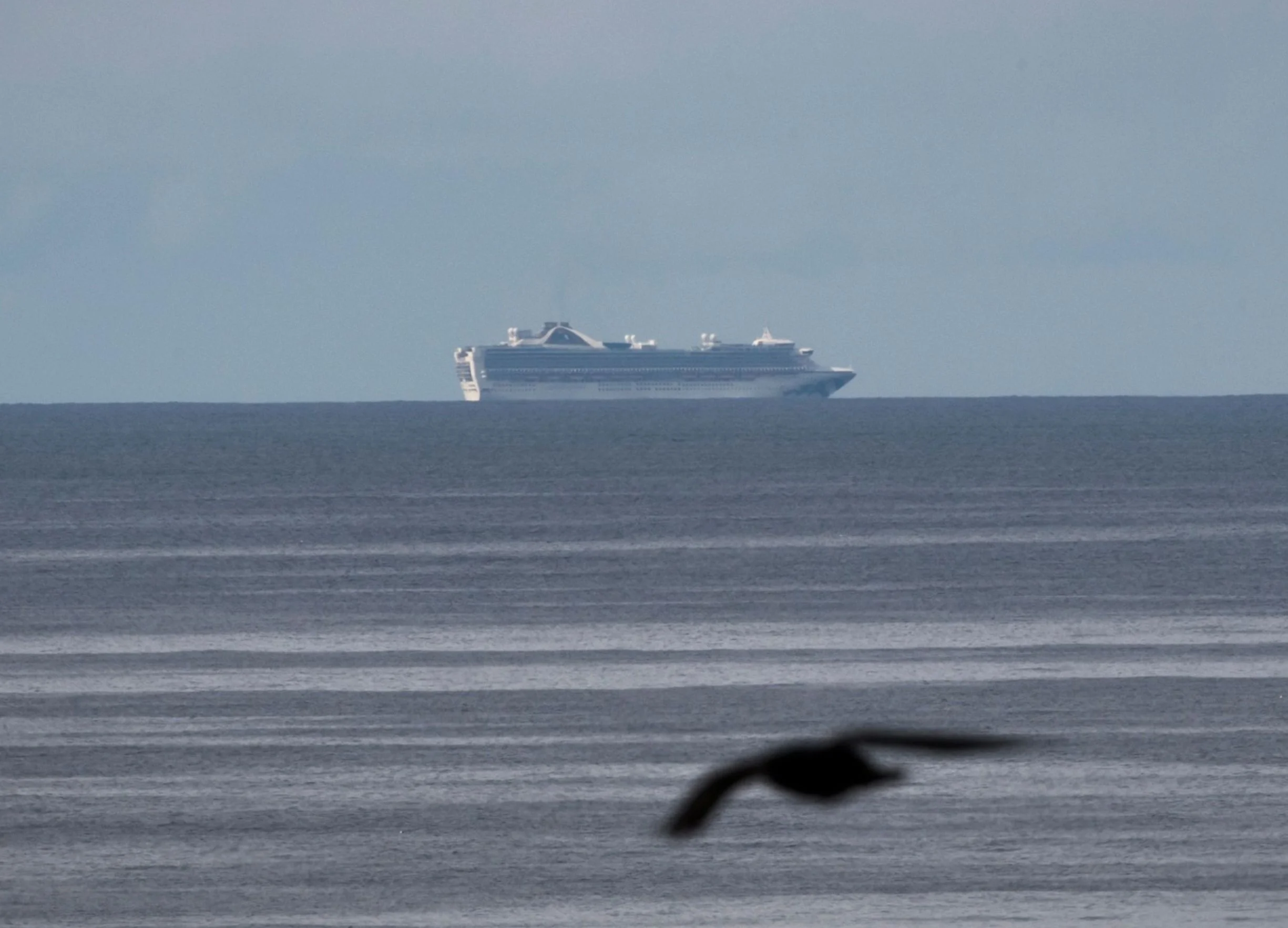 Americans Told to Avoid Cruises as Medical Team Boards Ship