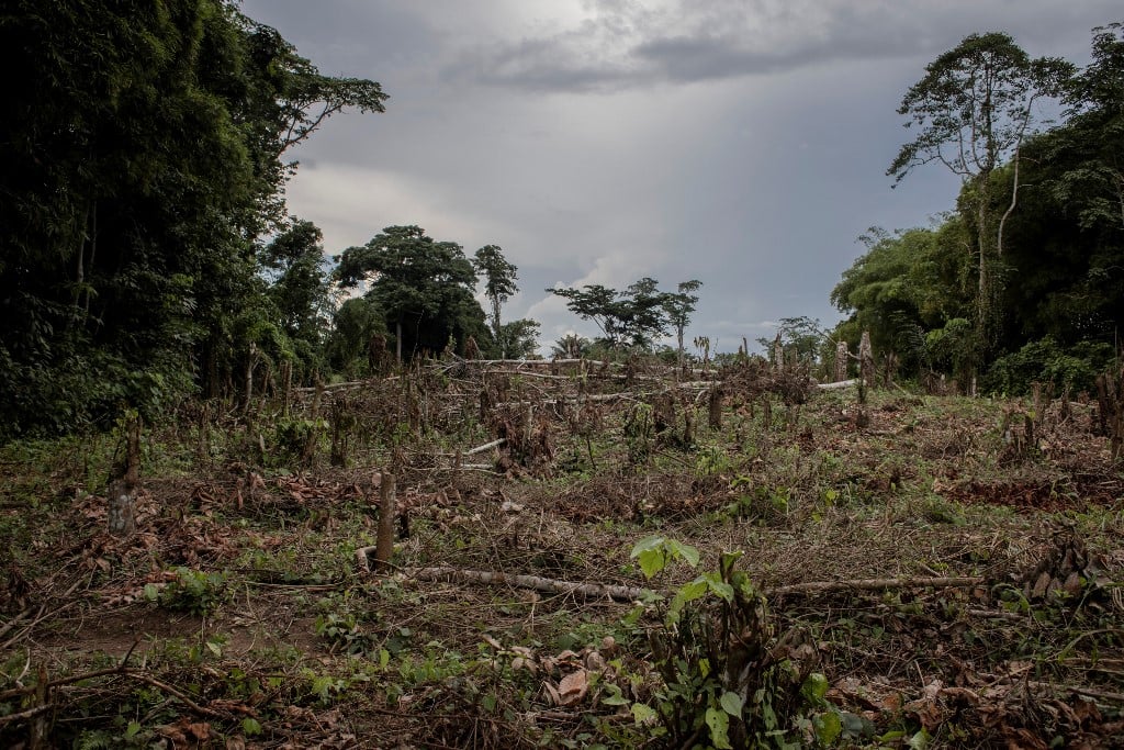 A general view of a deforested farm in Yanonge, 60 km from the town of Kisangani in Tshopo province, northeastern Democratic Republic of the Congo, August 31, 2022. Photo by Guerchom Ndebo / AFP