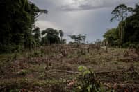 A general view of a deforested farm in Yanonge, 60 km from the town of Kisangani in Tshopo province, northeastern Democratic Republic of the Congo, 31 August 2022. Photo by Guerchom Ndebo / AFP