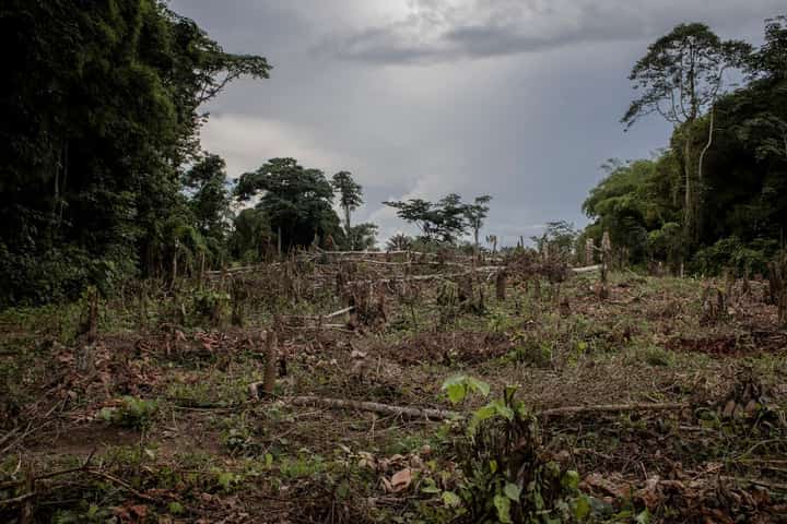 A general view of a deforested farm in Yanonge, 60 km from the town of Kisangani in Tshopo province, northeastern Democratic Republic of the Congo, 31 August 2022. Photo by Guerchom Ndebo / AFP