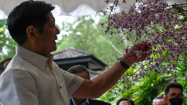 Roslan RAHMAN/POOL/Agence France-Presse
Friendship blooms. Philippine President Ferdinand ‘Bongbong’ Marcos Jr. admires an orchid named after him and First Lady Louise Araneta-Marcos, the ‘Dendrobium Ferdinand Louise Marcos,’ during an orchid-naming ceremony at the National Orchid Garden in Singapore on 7 September 2022.