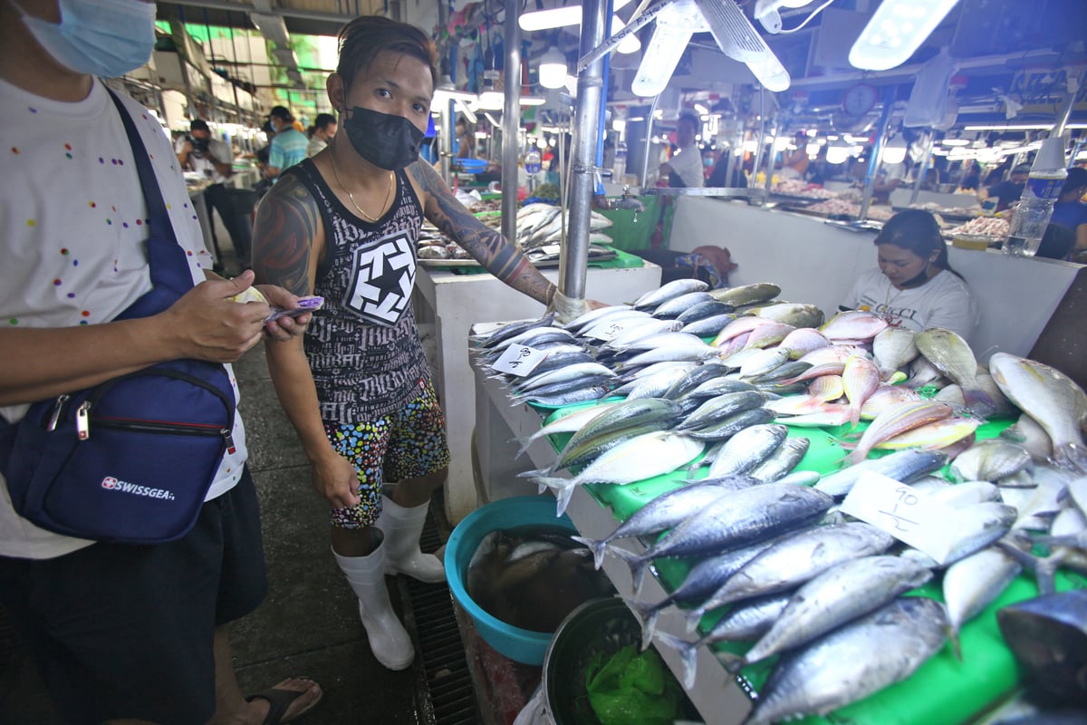 High fuel prices spark fishing halt