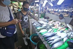 High fuel prices spark fishing halt