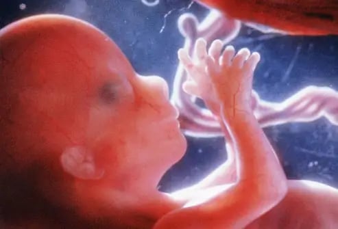 New research: Babies in the womb love carrots, but not kale