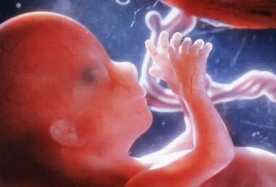 New research: Babies in the womb love carrots, but not kale