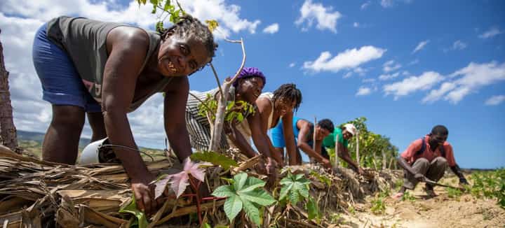 Farmers in the north of Haiti work on measures that will prevent the erosion of their farmland. | Photograph courtesy of WFP Haiti