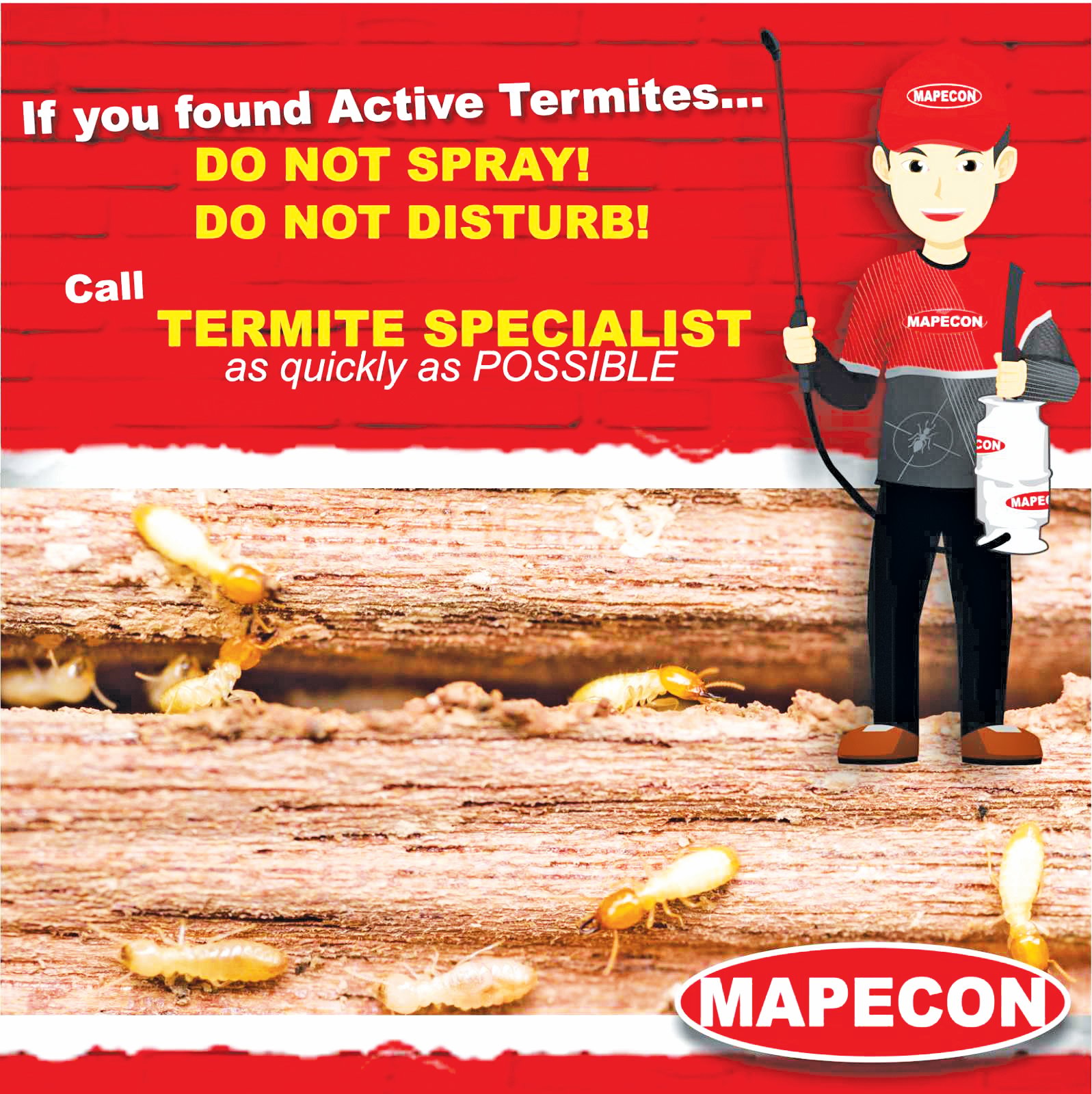 Pest control tips to keep your household safe