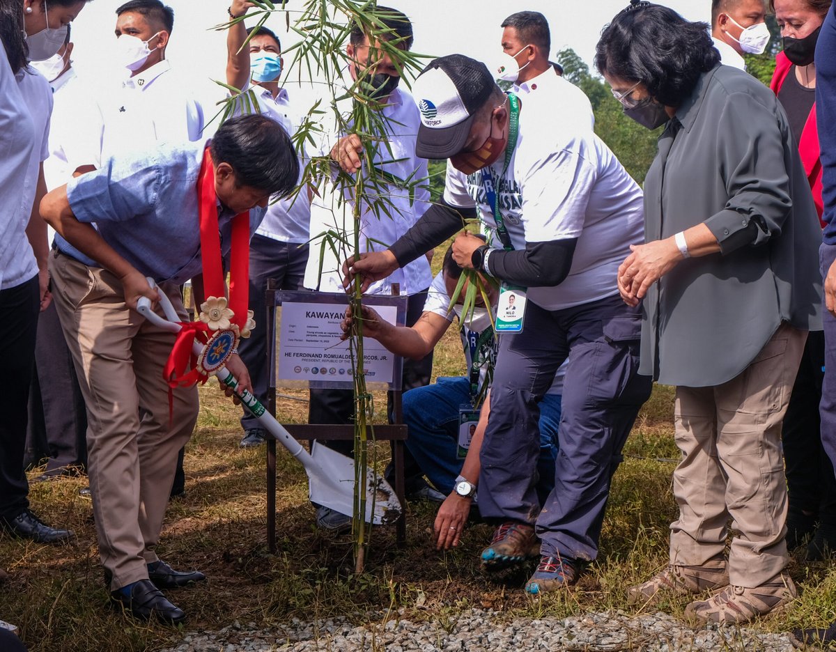 Bongbong plants bamboo on birthday