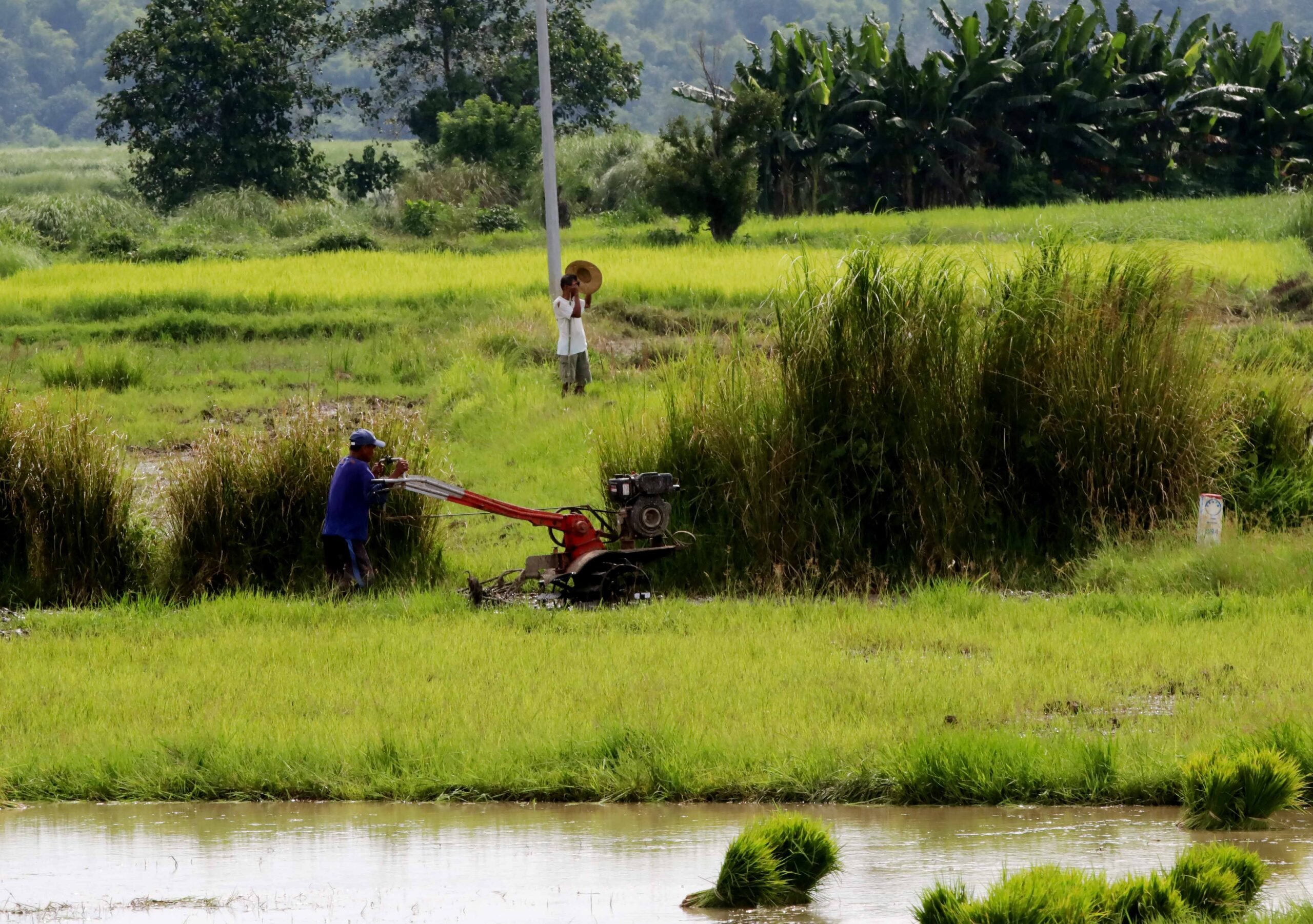 P2-B road to open Mindanao farmland