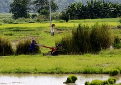 Palayan farmers complete climate resiliency training