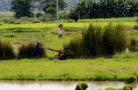 P2-B road to open Mindanao farmland