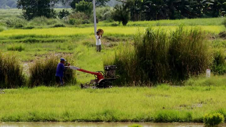 P2-B road to open Mindanao farmland