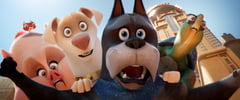 Super pets bond together, save the world in new series