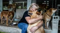 A ruff deal: Hong Kong exodus sparks surge in abandoned pets
