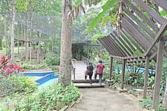 The Glens in Tagaytay a Love story