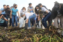 Solo parents tapped to clean Baseco beach