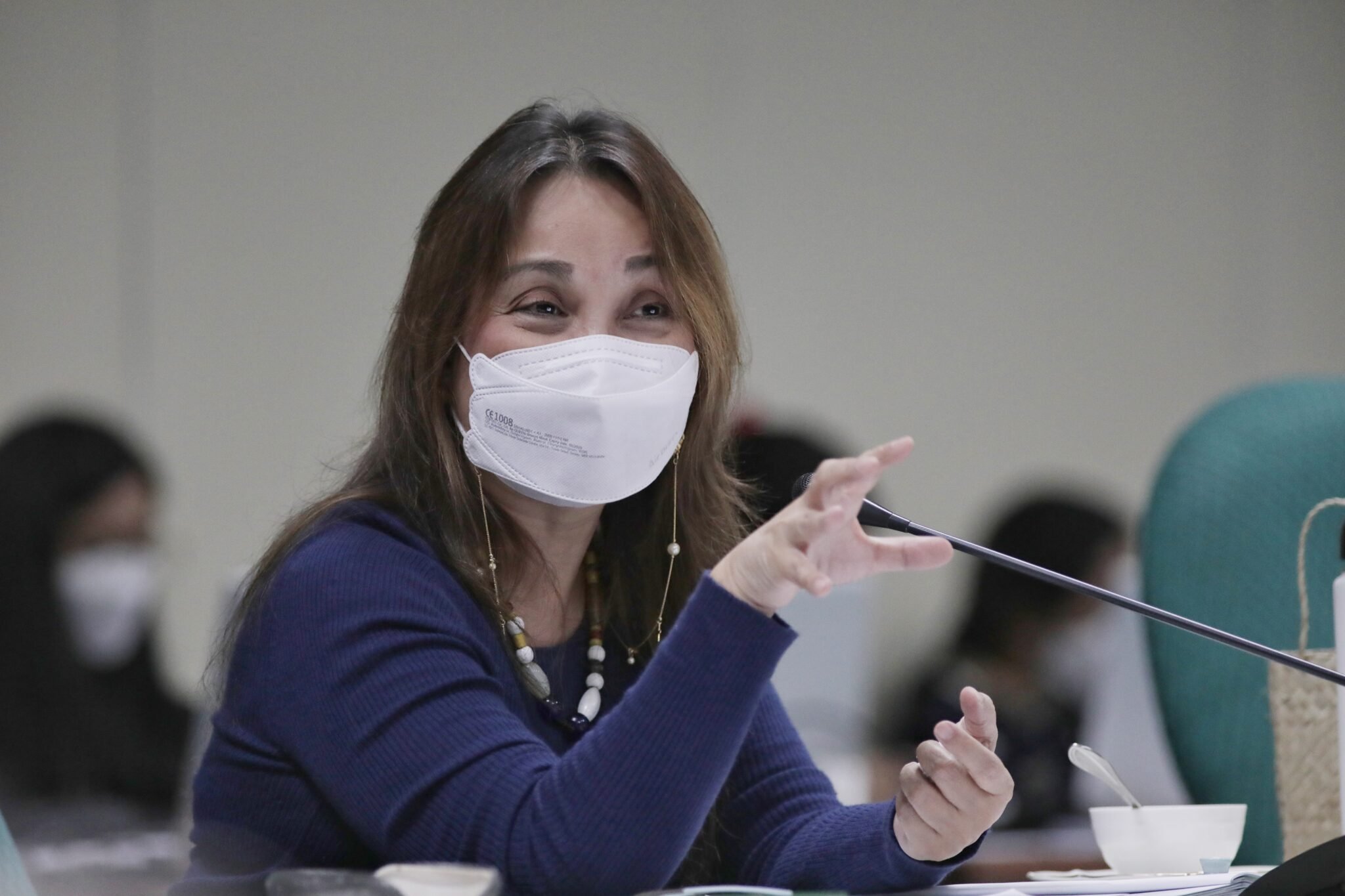Legarda refiles ‘One Town, One Product’ bill