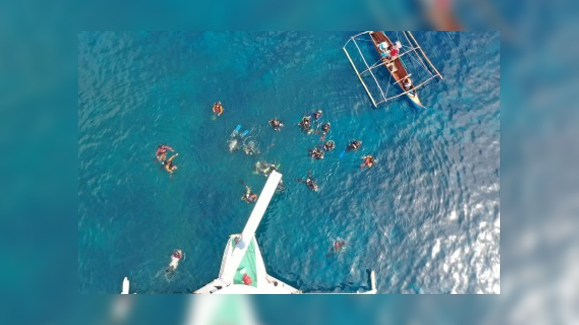 Phl first freediving festival launched