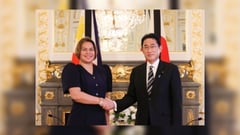 VP Japan visit fruitful