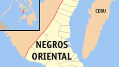 Negros Oriental has new governor