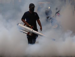 DOH: Dengue cases decline in January
