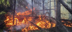 World severely off track to limit planet-heating emissions: UN