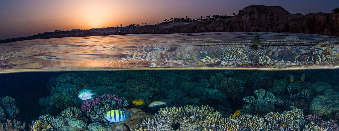 Egypt readies  for climate confab