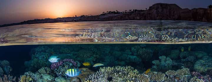 Egypt readies for climate confab
