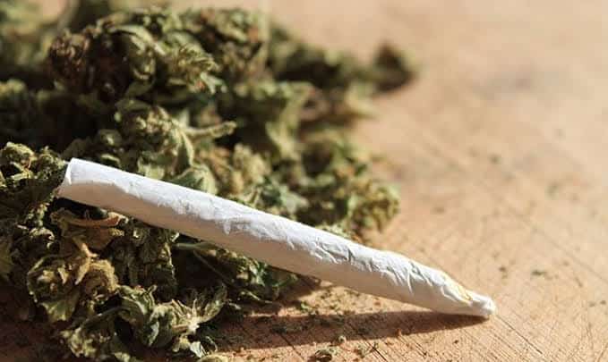 P6.24M MJ seized in Caloocan