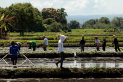 Marcos: Land reform program to be finished in my term