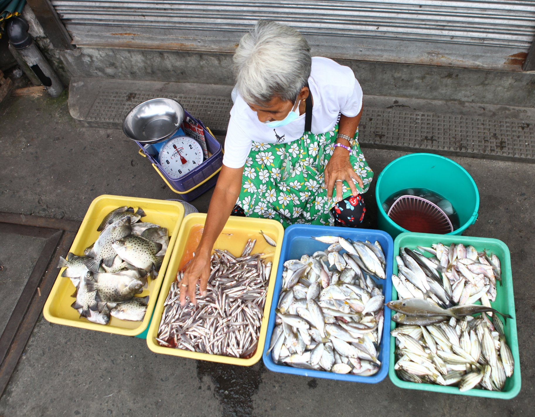 Fish sustains life for Navotas family