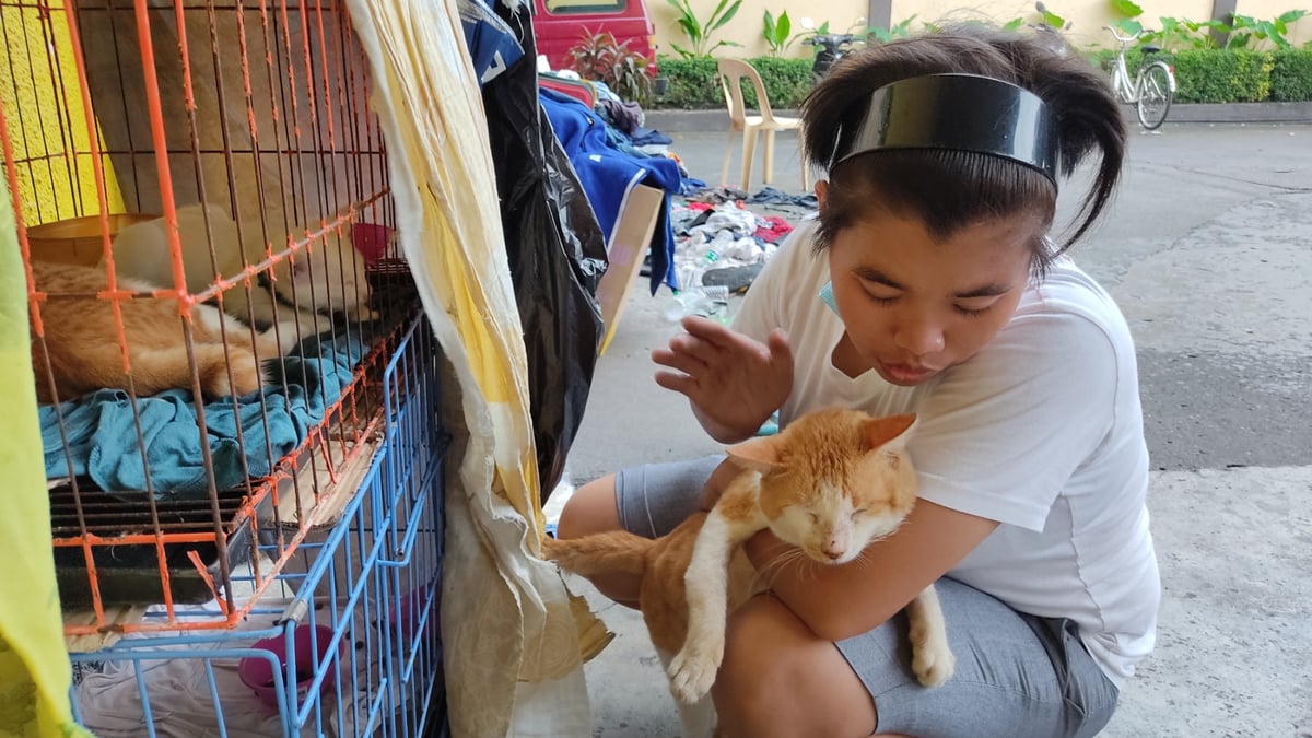 Happiness that cats bring