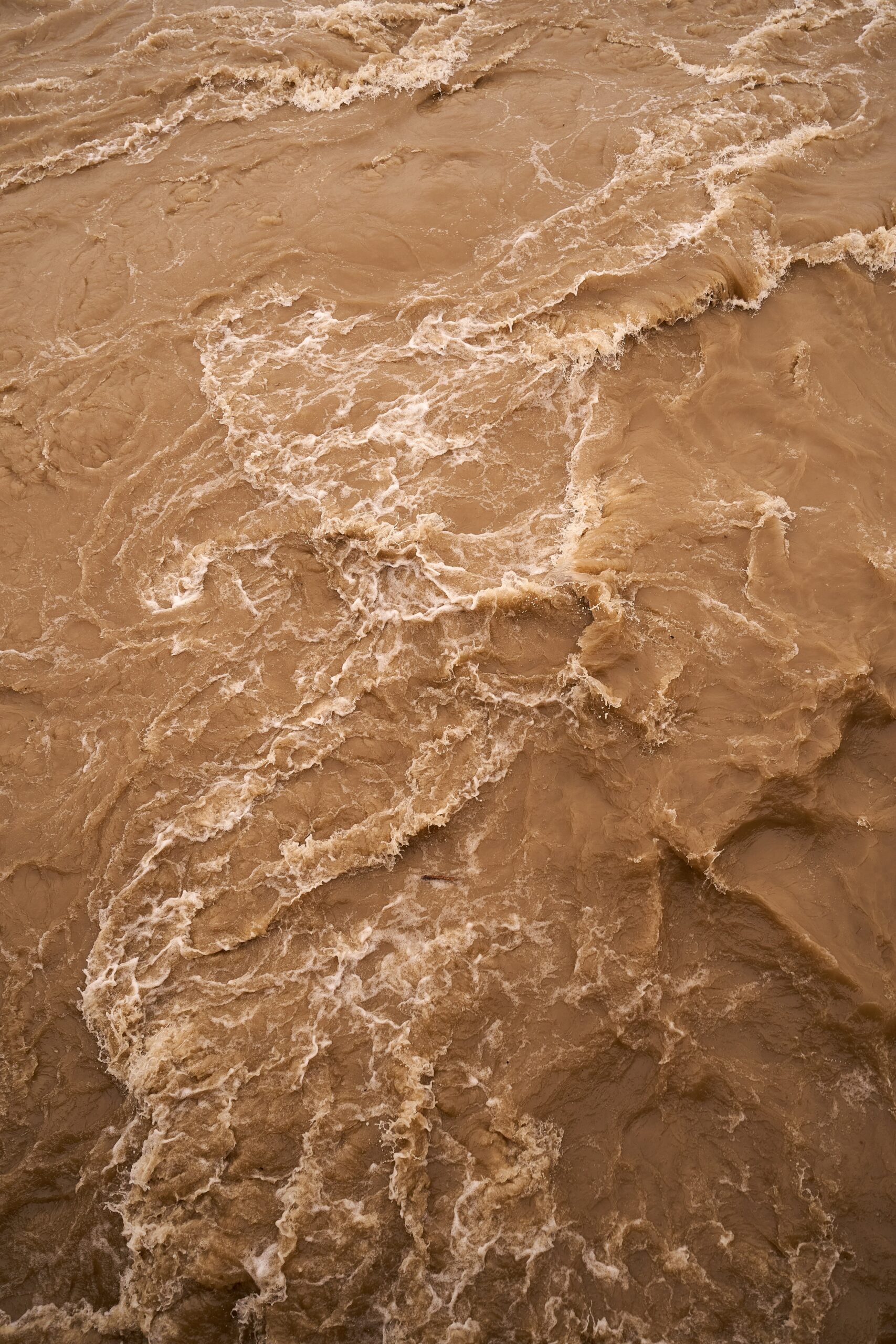 Zambo health office warns vs leptospirosis