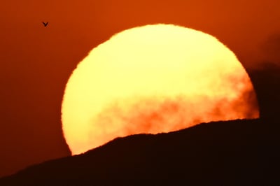 Heatwaves will make entire regions uninhabitable within decades: UN, Red Cross