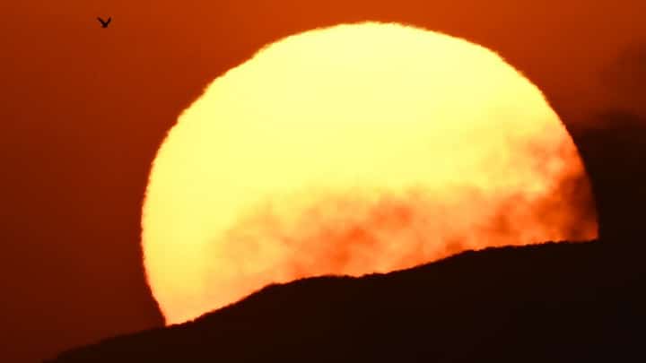 Photo by Patrick T. FALLON / AFP