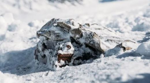 Athletes find explorer’s cameras left 85 years ago on Canada glacier