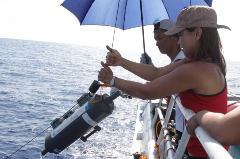 <strong>Photograph courtesy of Jean Utzurrum</strong><br />Marine Science Institute professor Dr. Aletta T. Yñiguez.