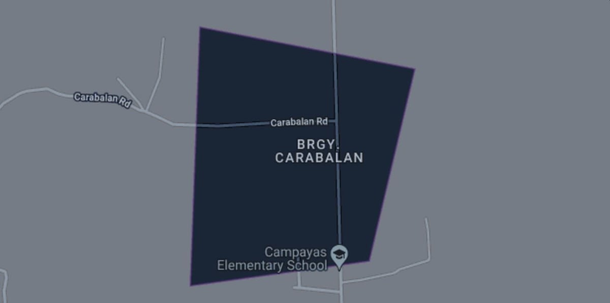 Negros Occidental insurgent surrenders