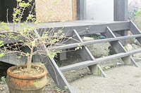 Creating eco-spaces with The PlaF