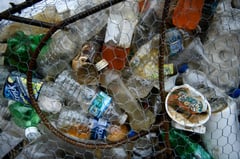 Plastic recycling remains a ‘myth’: Greenpeace study