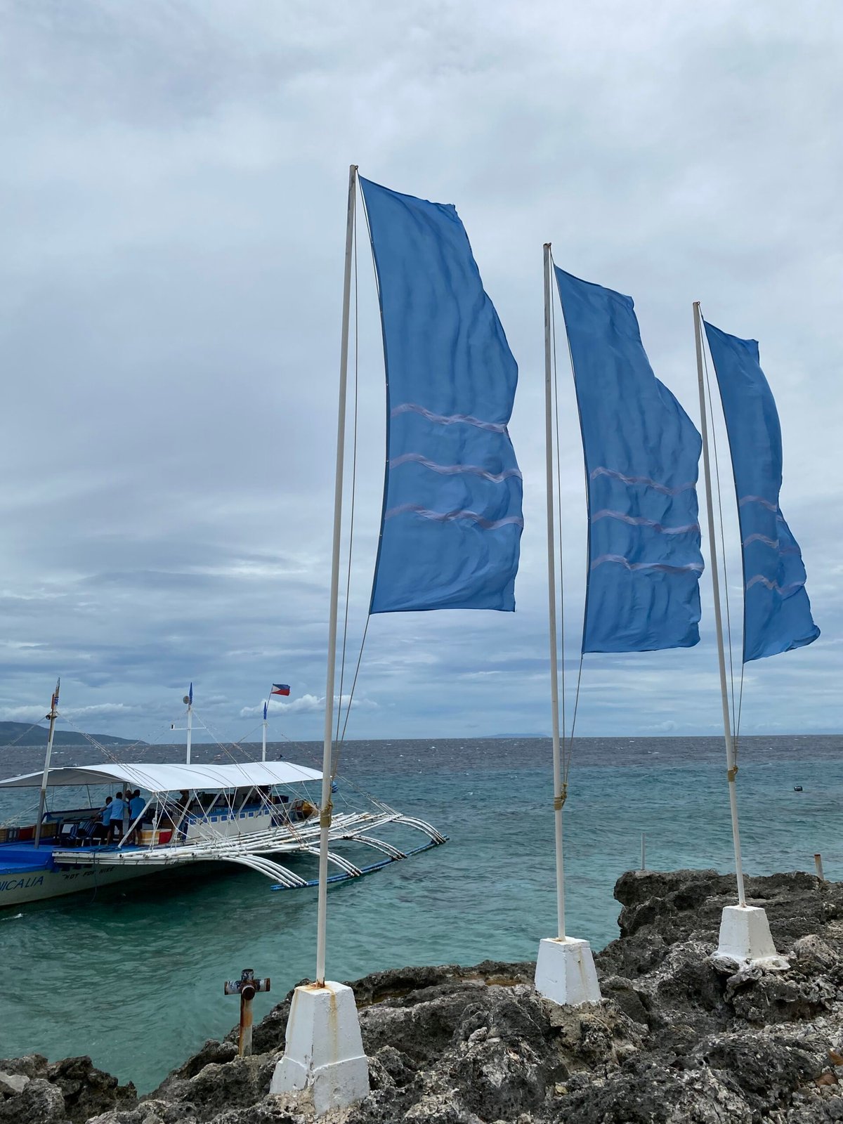 The wonders of Oslob