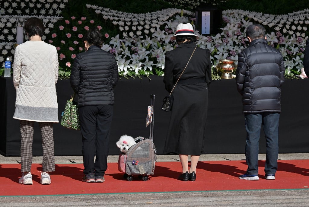 Mourners with a pet pay tribute in front of a joint memorial altar for victims of the deadly Halloween crowd surge, outside the city hall in Seoul on 31 October 2022. (Photo by JUNG YEON-JE / AFP)
