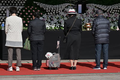 South Korea mourns Halloween crowd surge victims