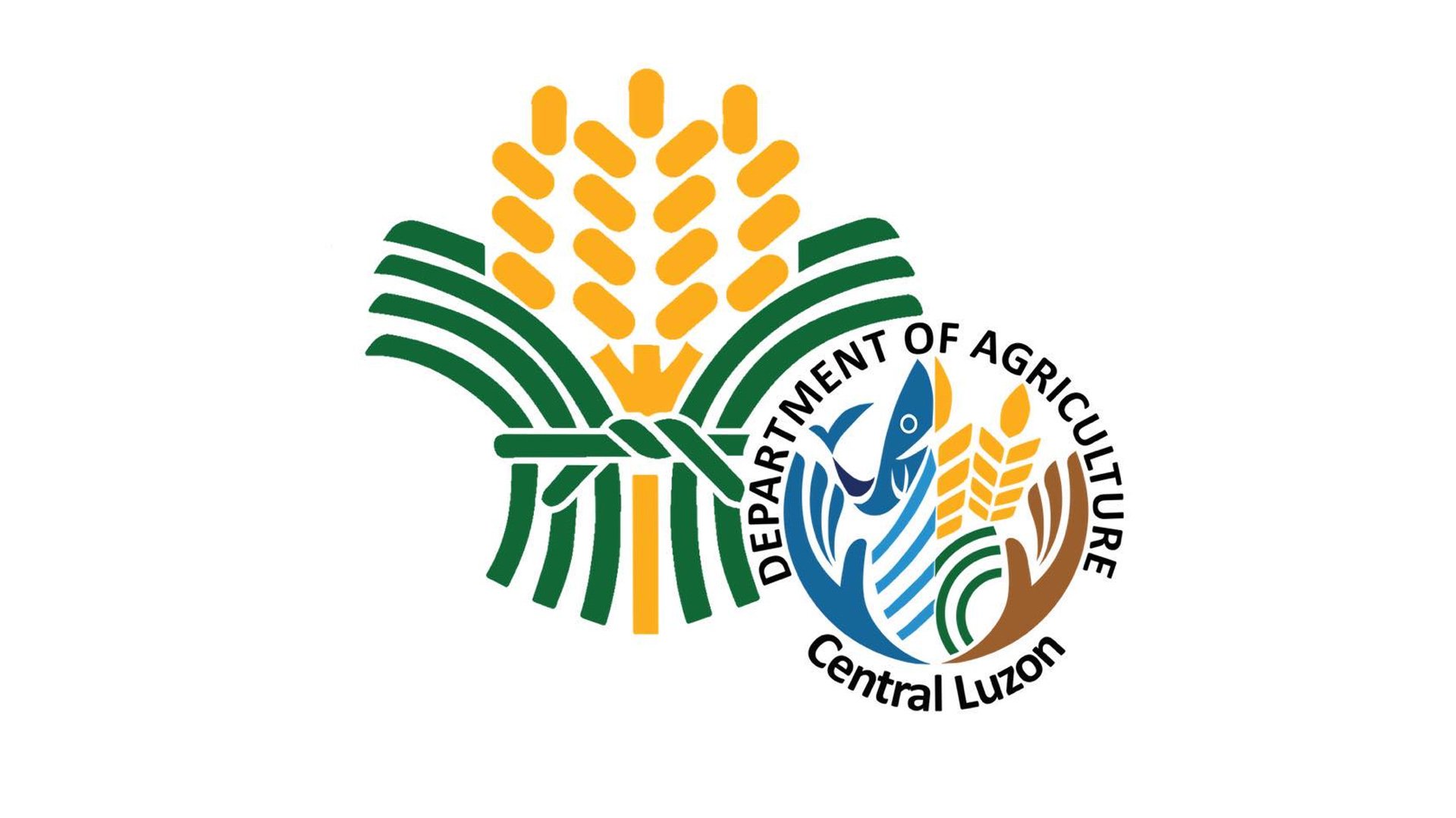 Bataan, Zambales farmer coops undergo training