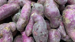Eastern Visayas possesses growth for root crops