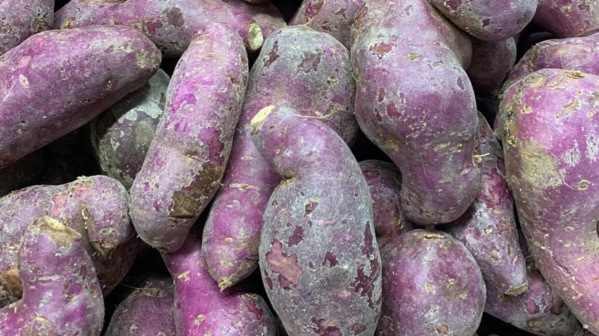 Eastern Visayas possesses growth for root crops