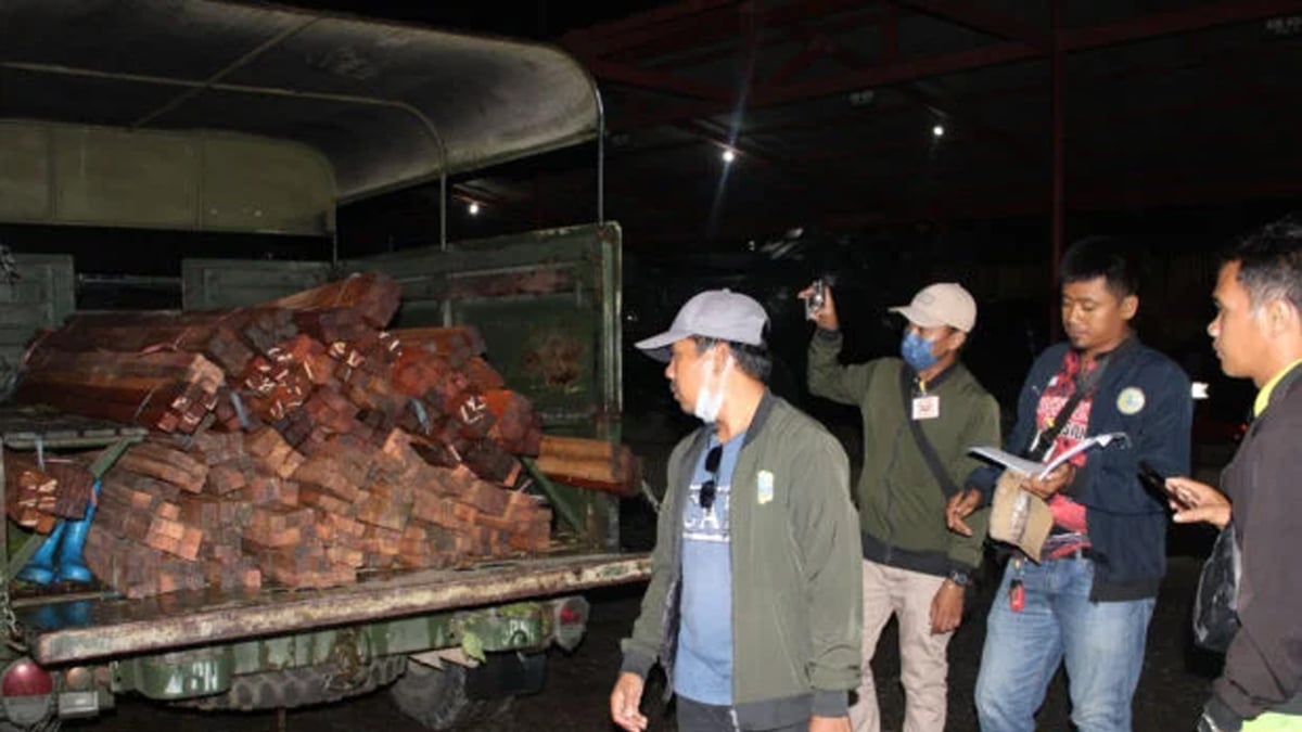 P1.7-M illegal lumber seized