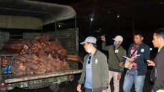 P1.7-M illegal lumber seized