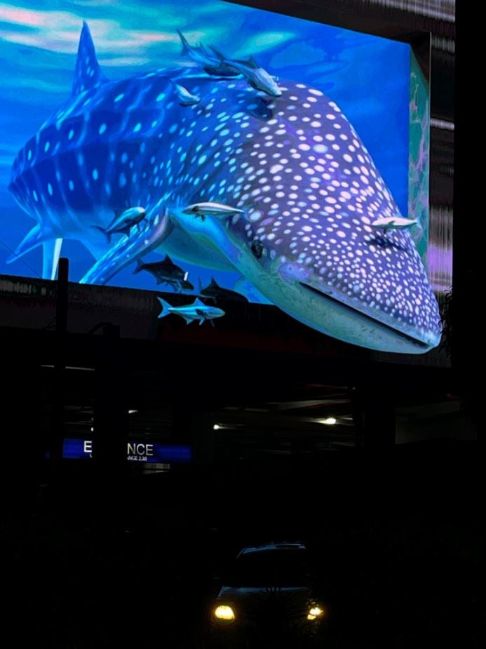 First in Manila: 3D Whale Shark billboard, Space Tunnel, Golden Gateway and Dazzling Light Shows at SM Malls