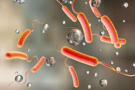 Cholera cases alarming, says senator